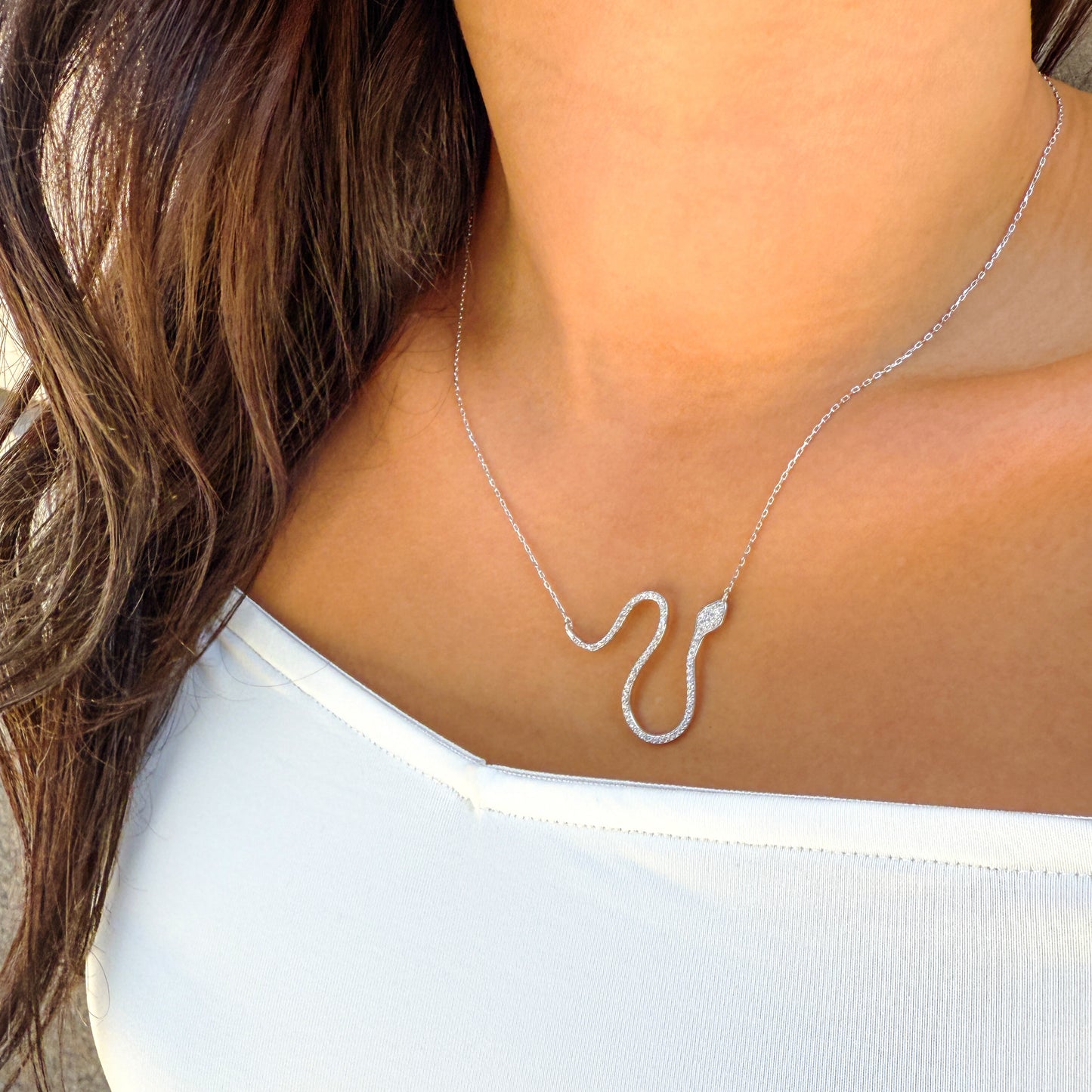 Silver Snake Necklace