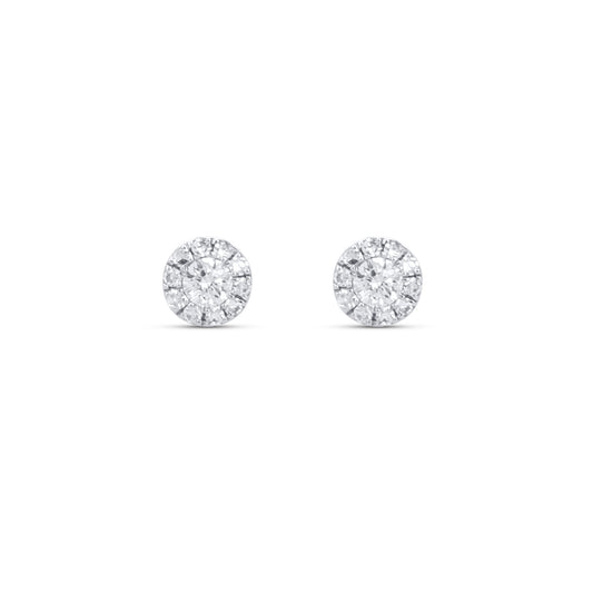 Diamond Halo Stud Earrings in 14kt White Gold | Alexandra Marks Jewelry