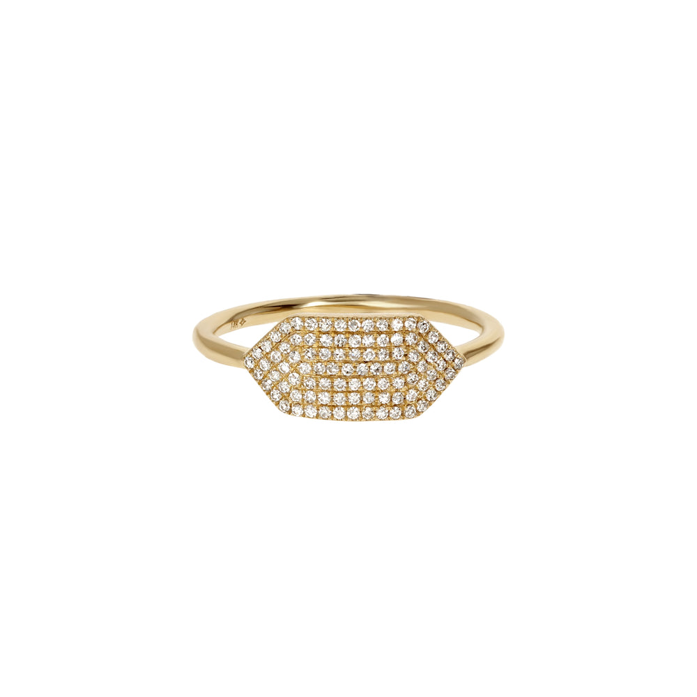 
            
                Load image into Gallery viewer, Alexandra Marks Pave&amp;#39; Diamond 14kt Gold Signet Ring
            
        